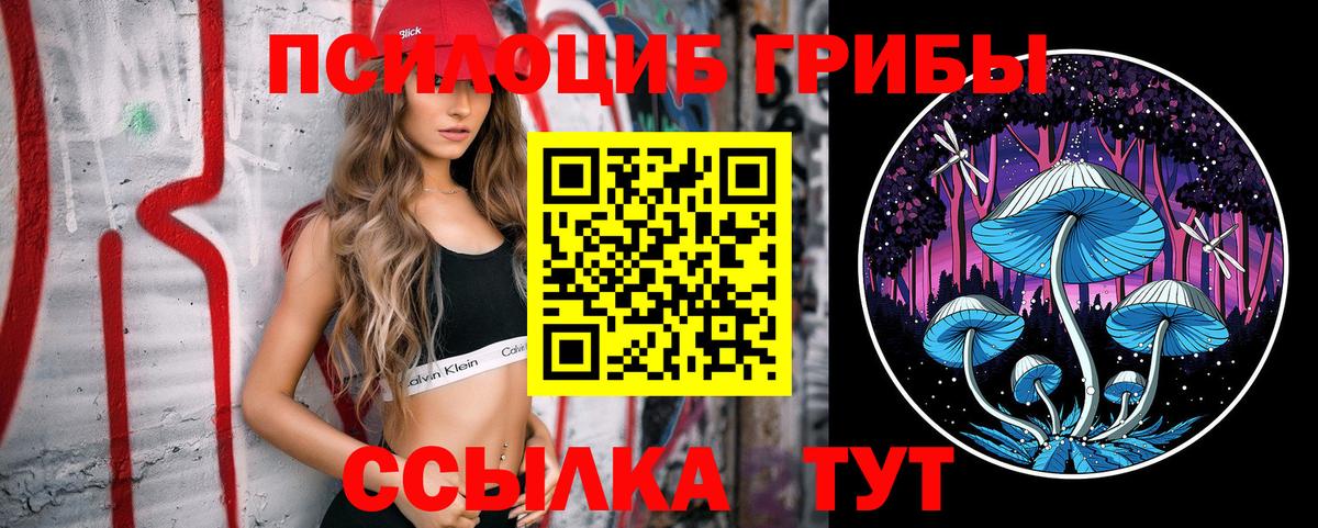 купить   Псилоцибиновые грибы мицелий  Ханты-Мансийск  Вход с VPN  Галлюциногенные грибы Psilocybe 